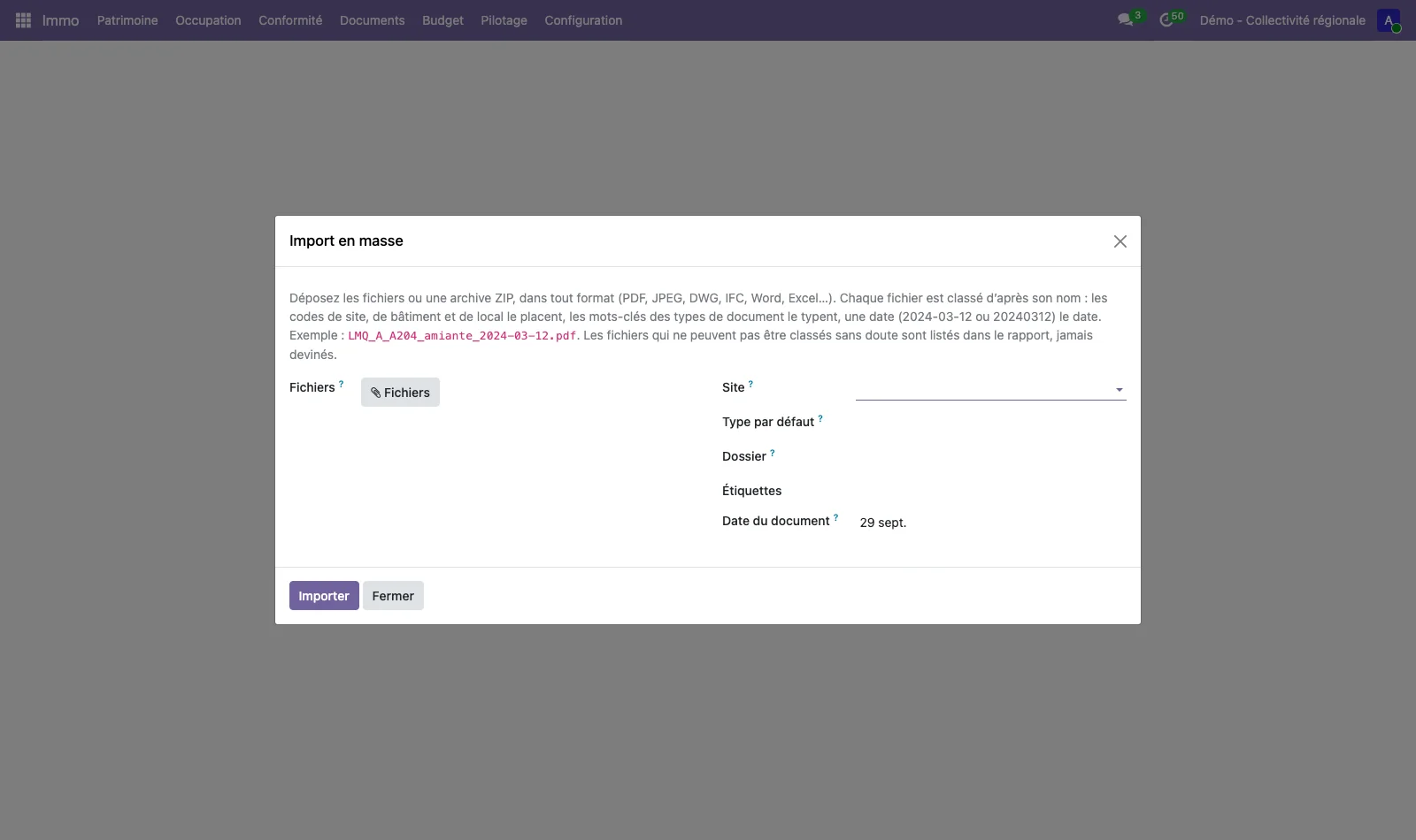 Assistant d'import en masse de documents : fichiers, site, type par défaut, dossier, étiquettes et date, avec l'explication du classement d'après le nom du fichier.